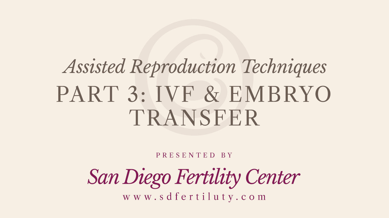 video-p3-ivf-embryo-transfer